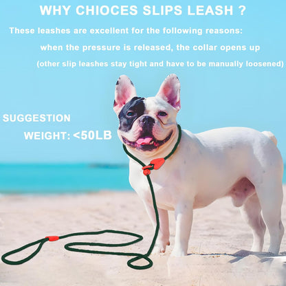 Slip Lead for Dogs Dog Leash Dog Leash for Small Medium Dogs Puppy Leash 6FT 6 Colors Strong Nylon Dog Training Leash No Pull Rope (Green)