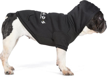 Friends the TV Show Dog Hoodie with Hood and Pocket for Treats or Waste Bags - Pet Clothes for Friends Lovers, Officially Licensed Dog Apparel & Accessories, Black, Size Extra Large
